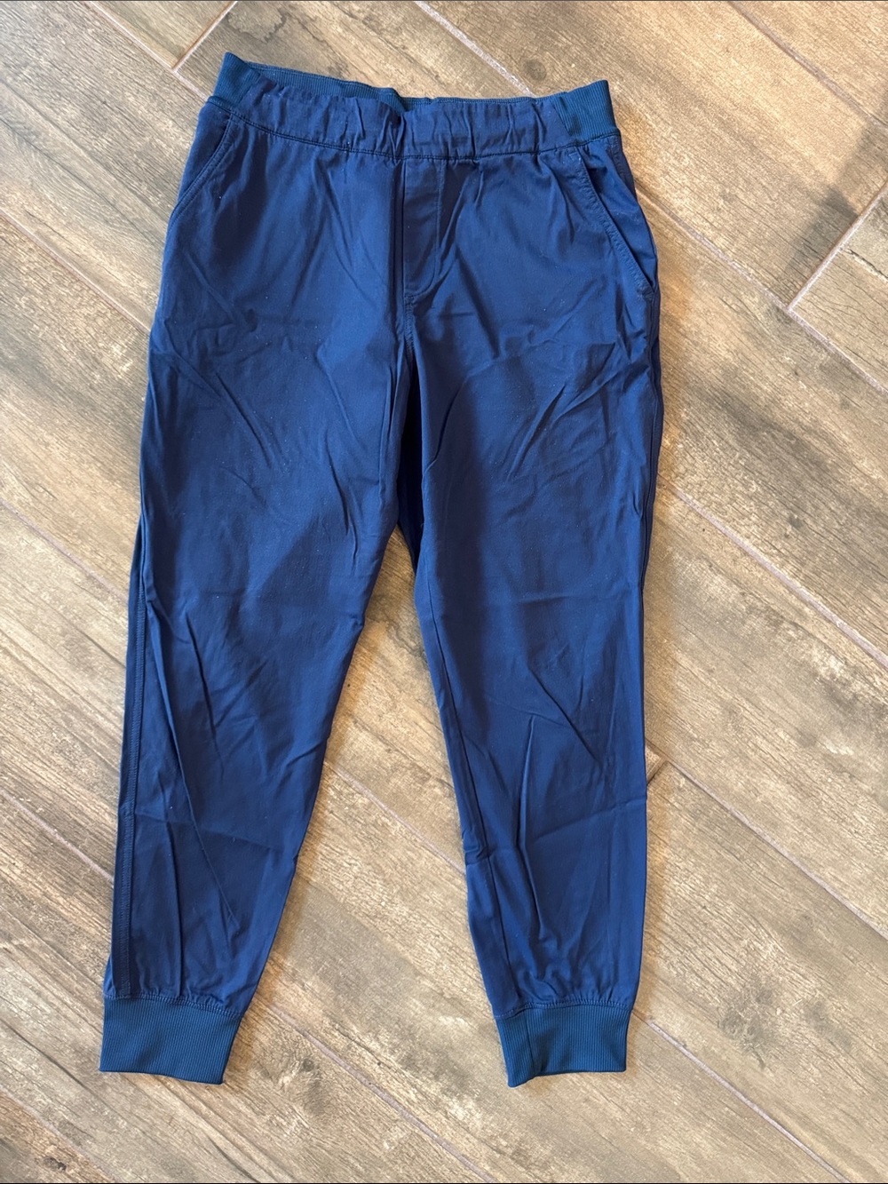 The North face jogger pants
